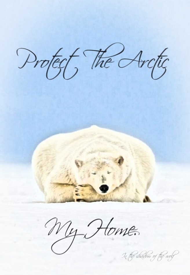 Protect the Arctic Refuge