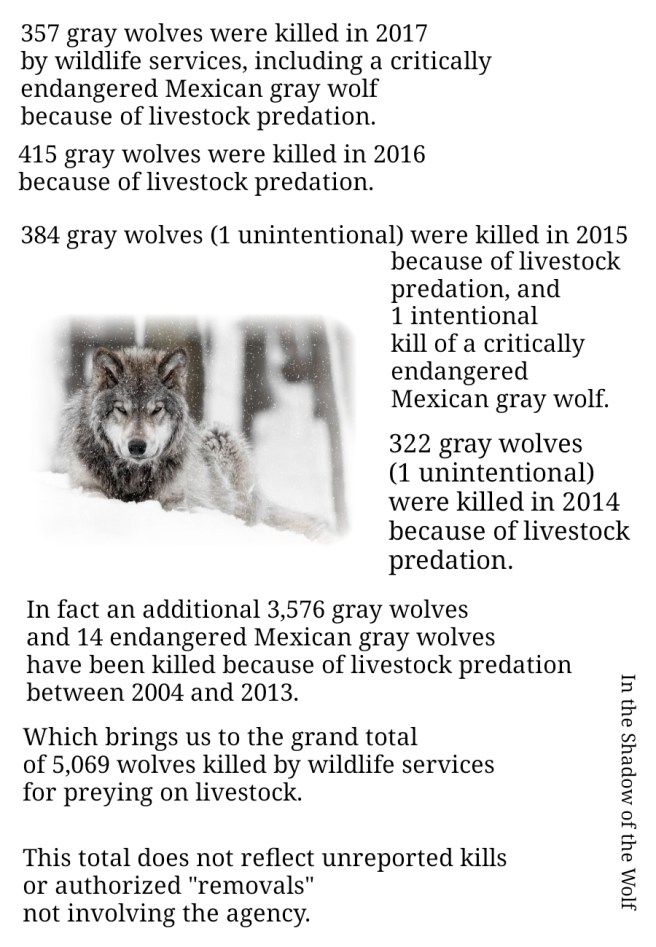 Wolves killed from 2004 to 2017 to protect livestock.
