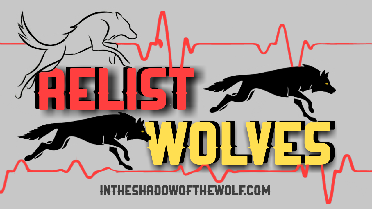 intheshadowofthewolf I Am Wolf. Quietly I Will Endure. Silently I